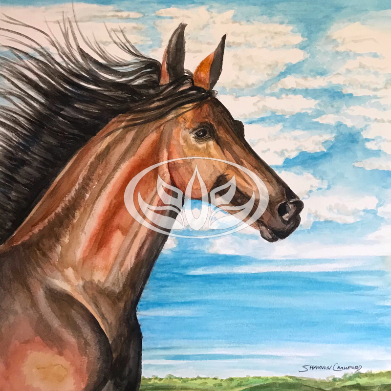 Horse Art by Shannon Crawford